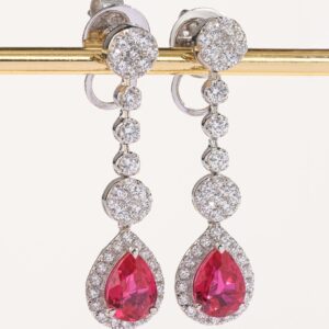 Trenpo Earrings