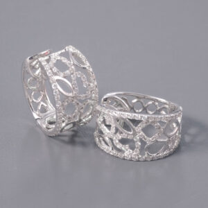 Gazine Earrings