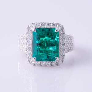 Claudia Ring