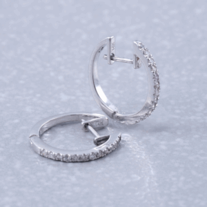 Rani Earrings