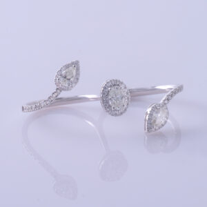 Eryne Ring